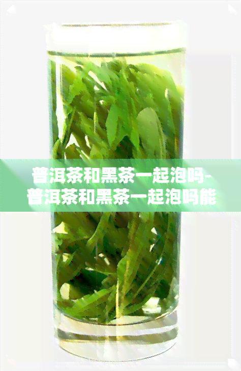 普洱茶和黑茶一起泡吗-普洱茶和黑茶一起泡吗能喝吗