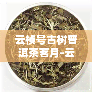 云桢号古树普洱茶茗月-云桢号茗月普洱茶357克卖380