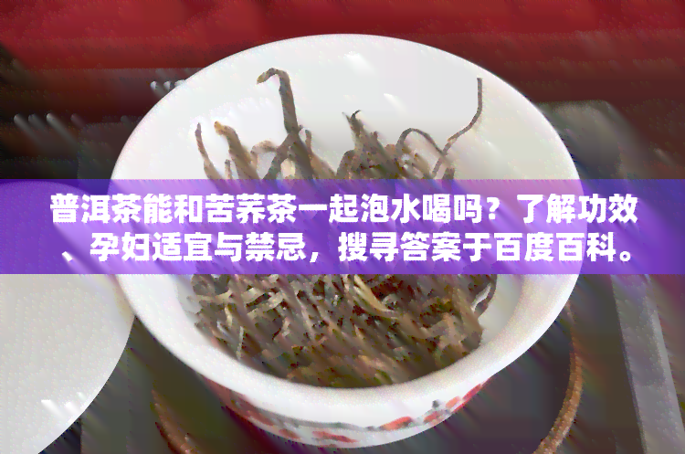 普洱茶能和苦荞茶一起泡水喝吗？了解功效、孕妇适宜与禁忌，搜寻答案于百度百科。