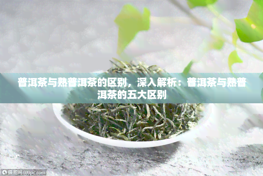 普洱茶与熟普洱茶的区别，深入解析：普洱茶与熟普洱茶的五大区别