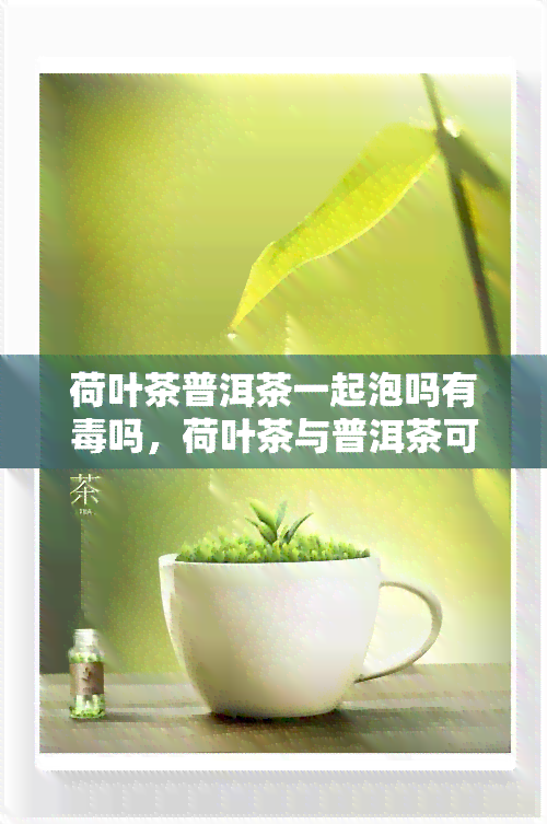 荷叶茶普洱茶一起泡吗有吗，荷叶茶与普洱茶可以一起泡吗？会不会有？