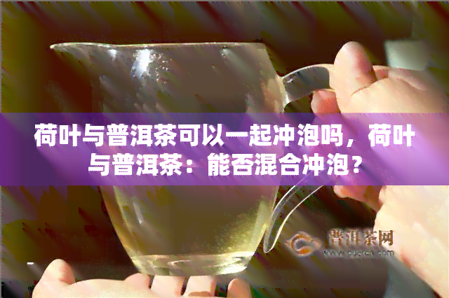 荷叶与普洱茶可以一起冲泡吗，荷叶与普洱茶：能否混合冲泡？