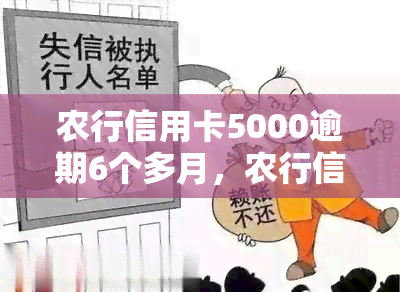 农行信用卡5000逾期6个多月，农行信用卡逾期半年未还，欠款已达5000元