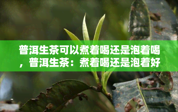 普洱生茶可以煮着喝还是泡着喝，普洱生茶：煮着喝还是泡着好？