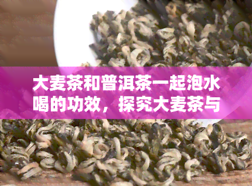 大麦茶和普洱茶一起泡水喝的功效，探究大麦茶与普洱茶同饮的神奇功效