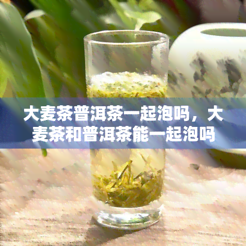 大麦茶普洱茶一起泡吗，大麦茶和普洱茶能一起泡吗？探讨它们的搭配效果与饮用方法