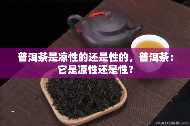 普洱茶是凉性的还是性的，普洱茶：它是凉性还是性？