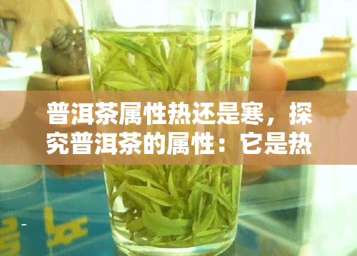 普洱茶属性热还是寒，探究普洱茶的属性：它是热性还是寒性？