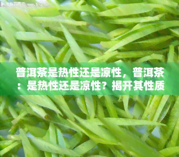 普洱茶是热性还是凉性，普洱茶：是热性还是凉性？揭开其性质之谜