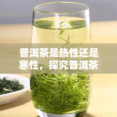 普洱茶是热性还是寒性，探究普洱茶的性质：它是热性还是寒性？