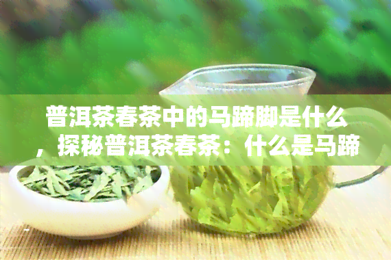 普洱茶春茶中的马蹄脚是什么，探秘普洱茶春茶：什么是马蹄脚？