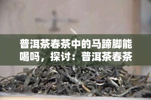 普洱茶春茶中的马蹄脚能喝吗，探讨：普洱茶春茶中的马蹄脚是否适宜饮用？