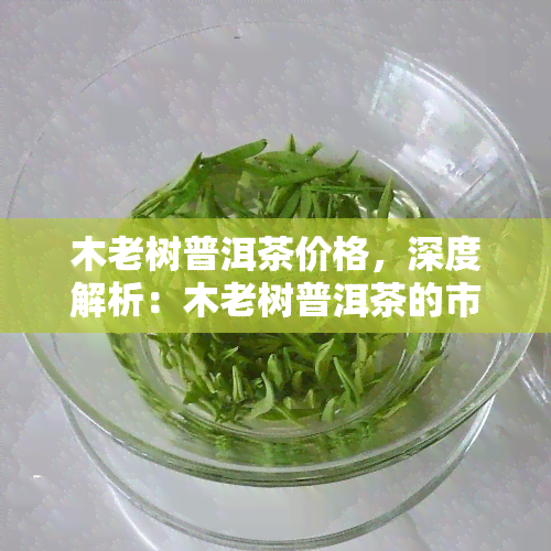 木老树普洱茶价格，深度解析：木老树普洱茶的市场价格及价值