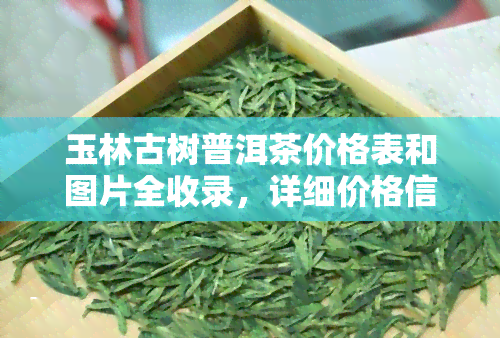 玉林古树普洱茶价格表和图片全收录，详细价格信息一网打尽