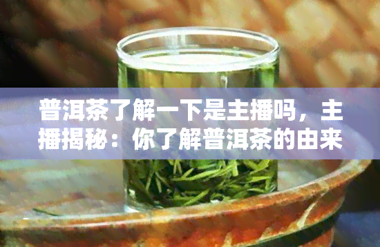 普洱茶了解一下是主播吗，主播揭秘：你了解普洱茶的由来和文化吗？