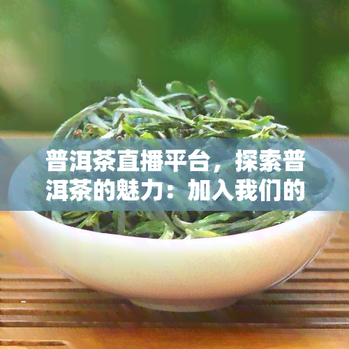 普洱茶直播平台，探索普洱茶的魅力：加入我们的直播平台，了解普洱茶的制作过程和品尝技巧！