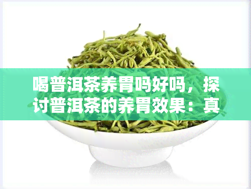 喝普洱茶养胃吗好吗，探讨普洱茶的养胃效果：真的好吗？