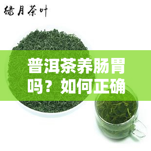 普洱茶养肠胃吗？如何正确饮用普洱茶以达到效果？