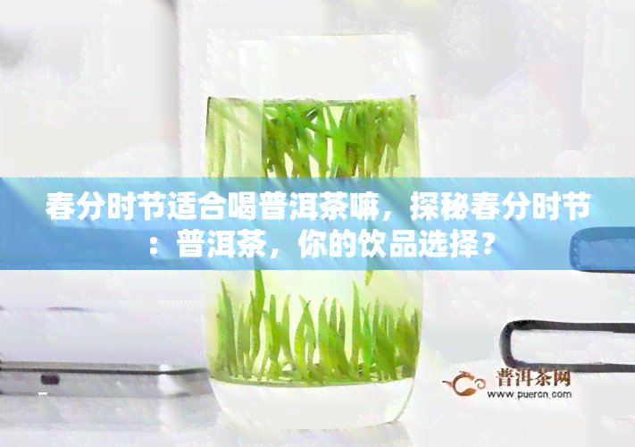 春分时节适合喝普洱茶嘛，探秘春分时节：普洱茶，你的饮品选择？