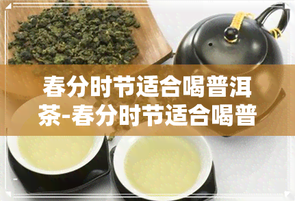 春分时节适合喝普洱茶-春分时节适合喝普洱茶吗