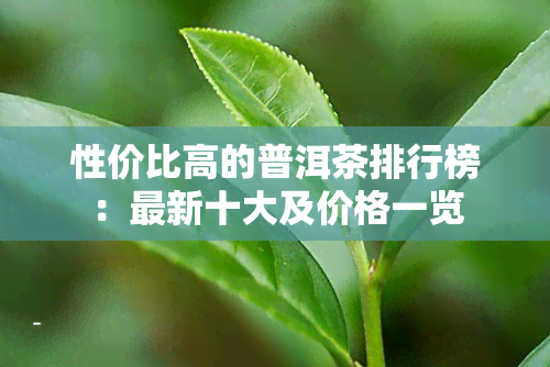 性价比高的普洱茶排行榜：最新十大及价格一览