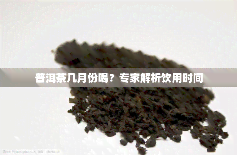 普洱茶几月份喝？专家解析饮用时间