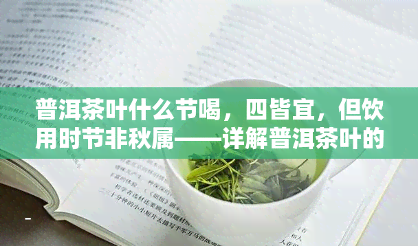 普洱茶叶什么节喝，四皆宜，但饮用时节非秋属——详解普洱茶叶的品饮时机