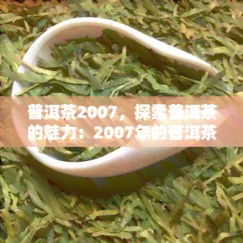 普洱茶2007，探索普洱茶的魅力：2007年的普洱茶特性和品尝建议