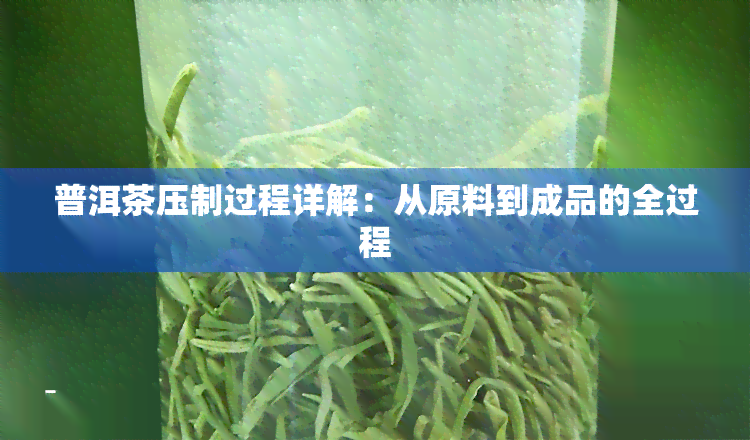 普洱茶压制过程详解：从原料到成品的全过程