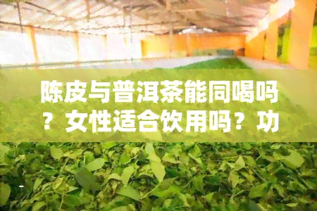 陈皮与普洱茶能同喝吗？女性适合饮用吗？功效与副作用是什么？