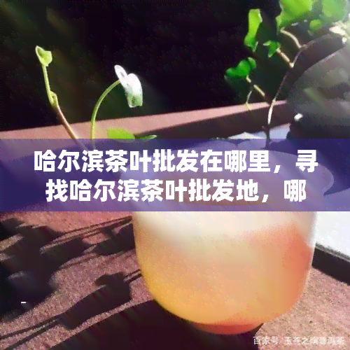 哈尔滨茶叶批发在哪里，寻找哈尔滨茶叶批发地，哪里最靠谱？