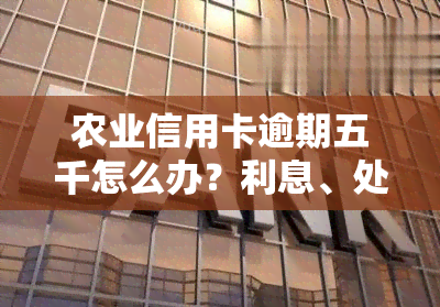 农业信用卡逾期五千怎么办？利息、处理方式全解析！