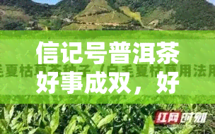 信记号普洱茶好事成双，好事成双！品味信记号普洱茶的双重享受