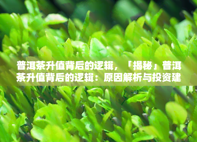 普洱茶升值背后的逻辑，「揭秘」普洱茶升值背后的逻辑：原因解析与投资建议