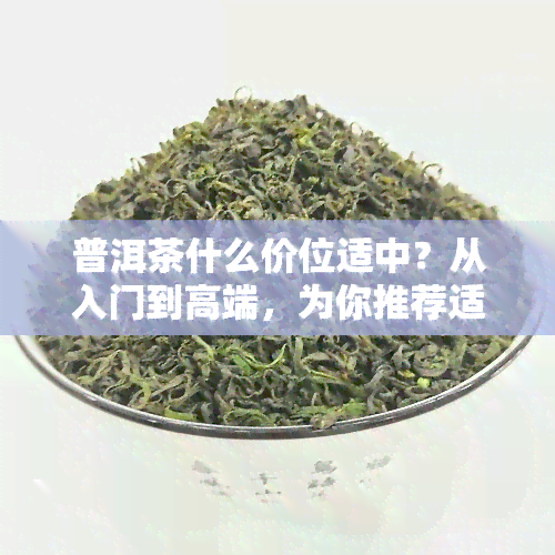 普洱茶什么价位适中？从入门到高端，为你推荐适合的茶品