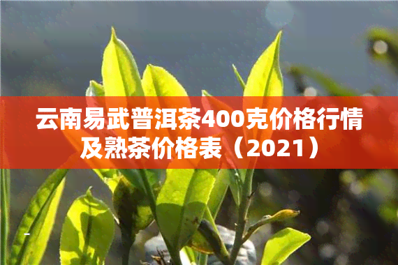 云南易武普洱茶400克价格行情及熟茶价格表（2021）