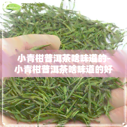 小青柑普洱茶啥味道的-小青柑普洱茶啥味道的好喝