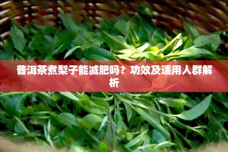 普洱茶煮梨子能减肥吗？功效及适用人群解析