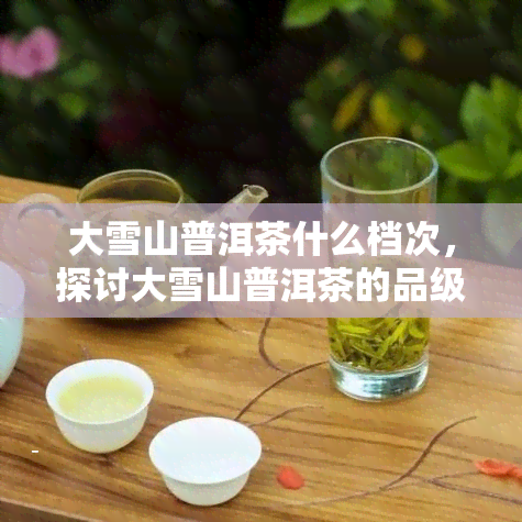 大雪山普洱茶什么档次，探讨大雪山普洱茶的品级与价值