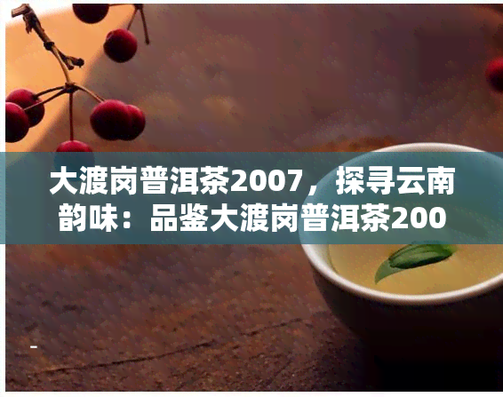 大渡岗普洱茶2007，探寻云南韵味：品鉴大渡岗普洱茶2007的独特魅力