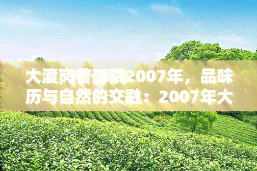 大渡岗普洱茶2007年，品味历与自然的交融：2007年大渡岗普洱茶的魅力探析