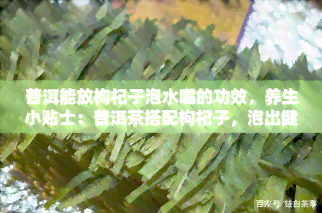 普洱能放枸杞子泡水喝的功效，养生小贴士：普洱茶搭配枸杞子，泡出健好味道！