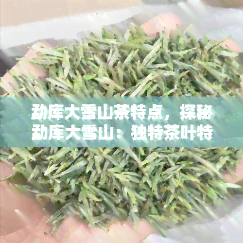 勐库大雪山茶特点，探秘勐库大雪山：独特茶叶特点解析