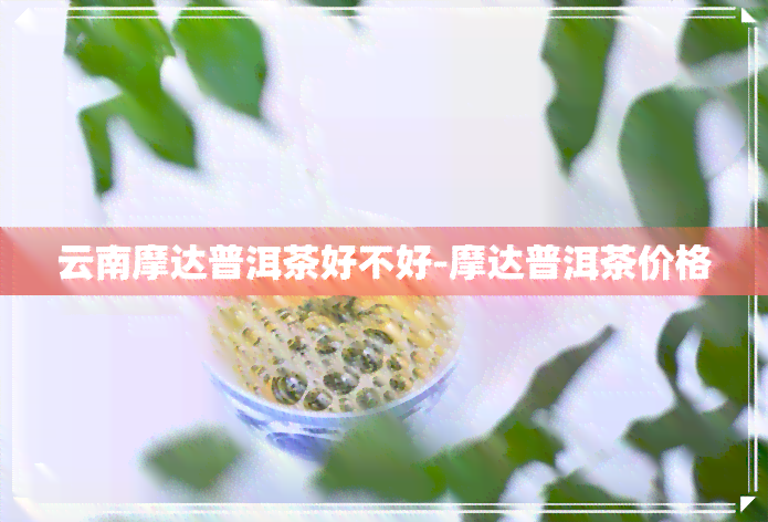 云南摩达普洱茶好不好-摩达普洱茶价格