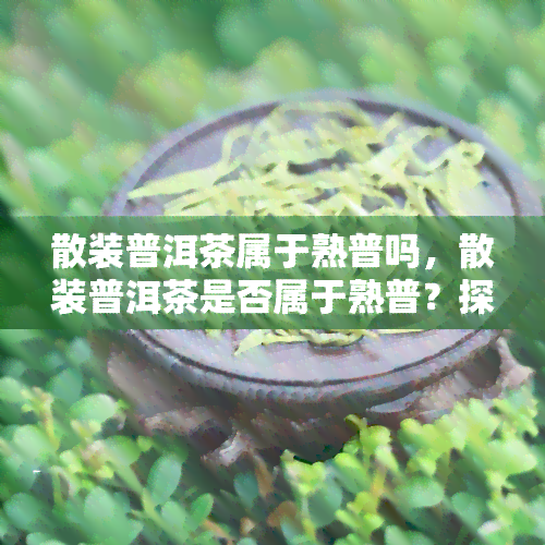 散装普洱茶属于熟普吗，散装普洱茶是否属于熟普？探讨其分类与特点