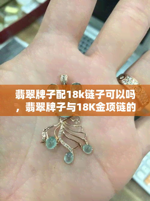 翡翠牌子配18k链子可以吗，翡翠牌子与18K金项链的完美搭配，你值得拥有！