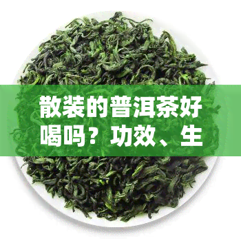 散装的普洱茶好喝吗？功效、生熟辨析及特点全解析！