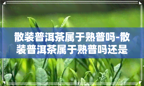 散装普洱茶属于熟普吗-散装普洱茶属于熟普吗还是生普