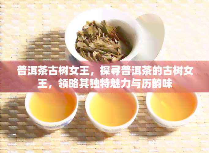 普洱茶古树女王，探寻普洱茶的古树女王，领略其独特魅力与历韵味