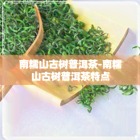 南糯山古树普洱茶-南糯山古树普洱茶特点